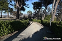 VBS_0995 - Santuario Madonna di Mombirone - Canale (CN)